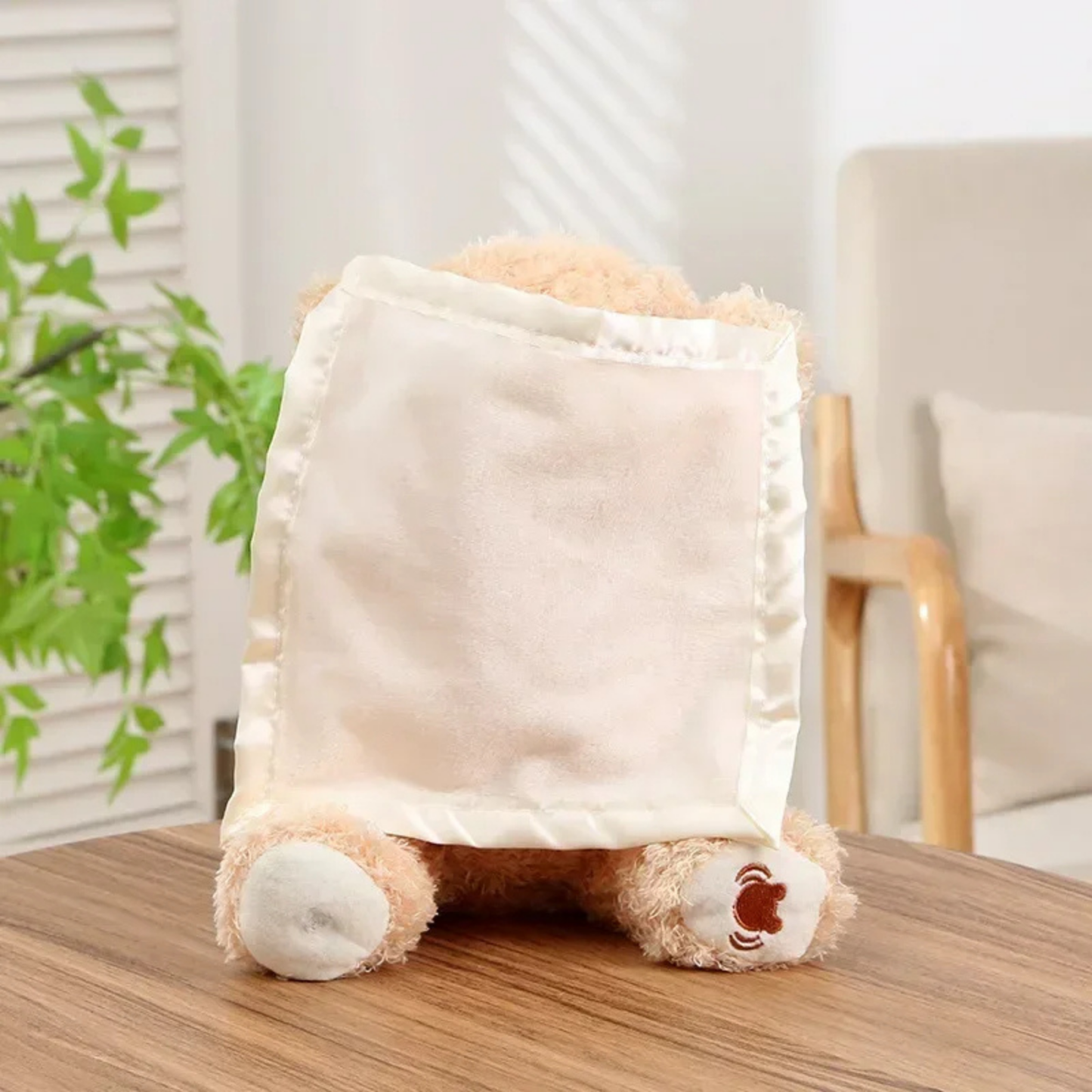 TinyTeddyGo