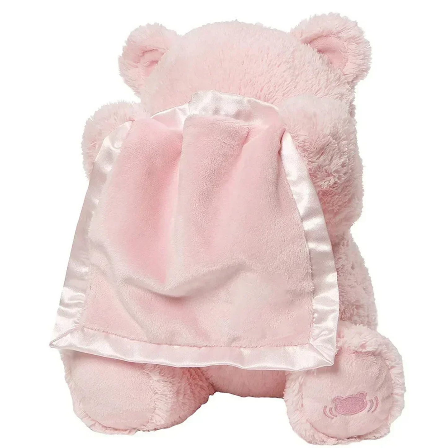 TinyTeddyGo
