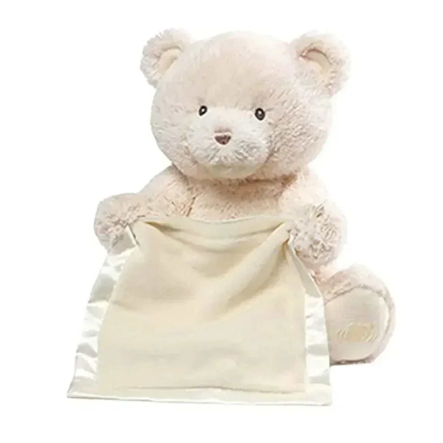 TinyTeddyGo