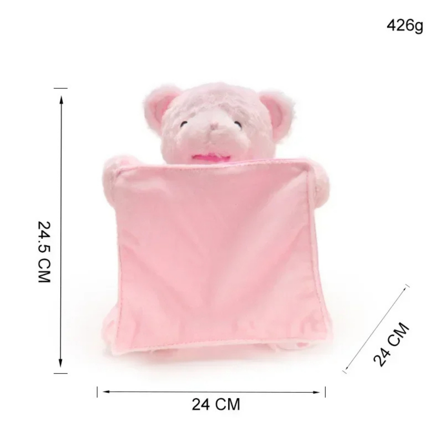 TinyTeddyGo